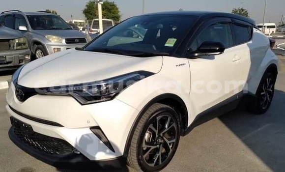 Buy Used Toyota C-HR White Car in Beitbridge in Matabeleland South