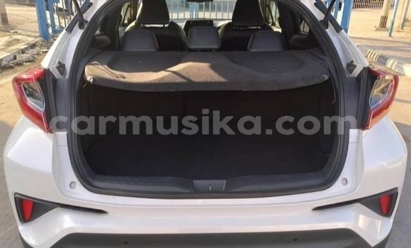Buy Used Toyota C-HR White Car in Beitbridge in Matabeleland South Buy Used Toyota C-HR White Car in Beitbridge in Matabeleland South
