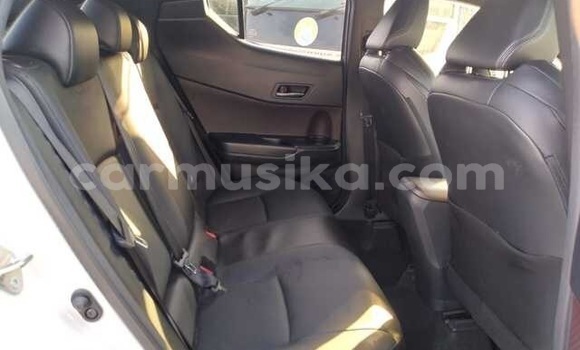 Buy Used Toyota C-HR White Car in Beitbridge in Matabeleland South Buy Used Toyota C-HR White Car in Beitbridge in Matabeleland South