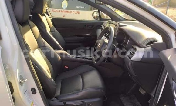 Buy Used Toyota C-HR White Car in Beitbridge in Matabeleland South Buy Used Toyota C-HR White Car in Beitbridge in Matabeleland South
