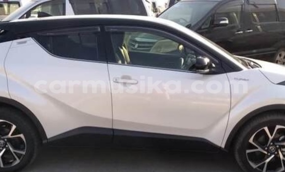 Buy Used Toyota C-HR White Car in Beitbridge in Matabeleland South Buy Used Toyota C-HR White Car in Beitbridge in Matabeleland South
