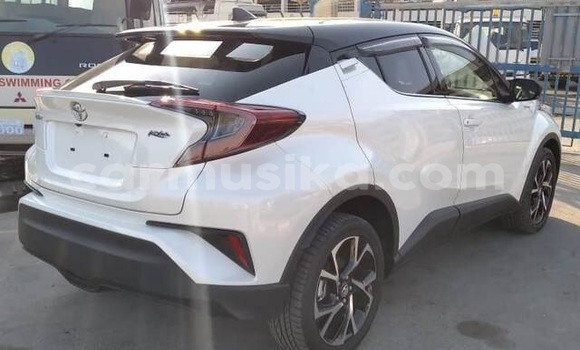 Buy Used Toyota C-HR White Car in Beitbridge in Matabeleland South Buy Used Toyota C-HR White Car in Beitbridge in Matabeleland South