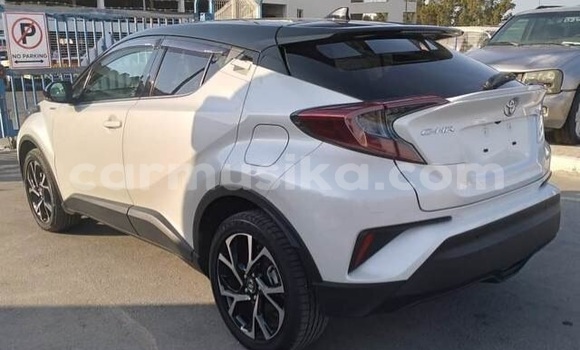 Buy Used Toyota C-HR White Car in Beitbridge in Matabeleland South Buy Used Toyota C-HR White Car in Beitbridge in Matabeleland South