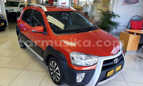 Tenga Tsaru Toyota Etios Bhurawuni Mota in Beitbridge in Matabeleland South