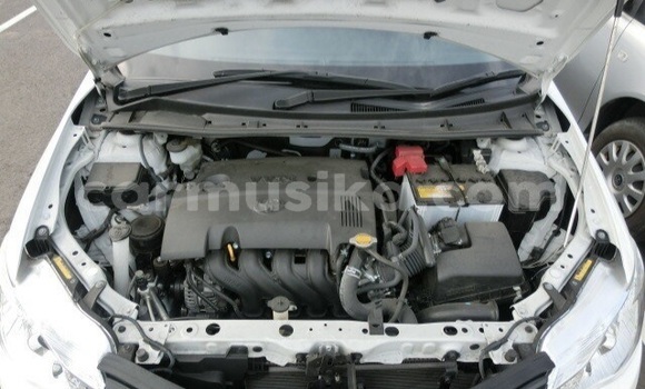 Buy Used Toyota Corolla White Car in Beitbridge in Matabeleland South Buy Used Toyota Corolla White Car in Beitbridge in Matabeleland South