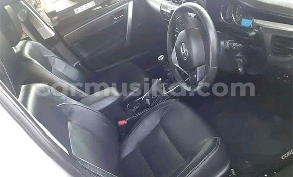 Buy Used Toyota Corolla Other Car in Beitbridge in Matabeleland South Buy Used Toyota Corolla Other Car in Beitbridge in Matabeleland South