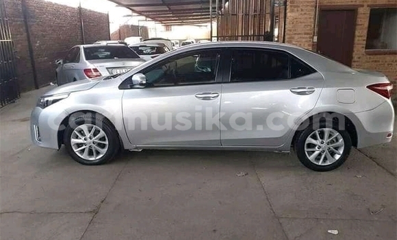 Buy Used Toyota Corolla Other Car in Beitbridge in Matabeleland South Buy Used Toyota Corolla Other Car in Beitbridge in Matabeleland South