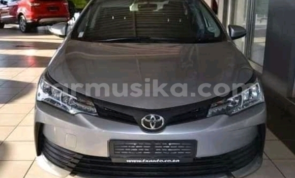 Buy Used Toyota Corolla Other Car in Beitbridge in Matabeleland South