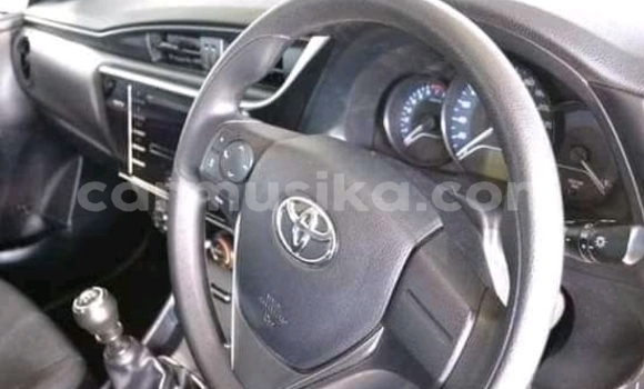 Buy Used Toyota Corolla Other Car in Beitbridge in Matabeleland South Buy Used Toyota Corolla Other Car in Beitbridge in Matabeleland South
