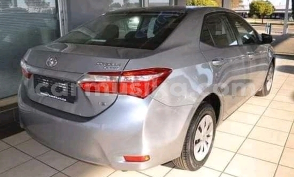 Buy Used Toyota Corolla Other Car in Beitbridge in Matabeleland South Buy Used Toyota Corolla Other Car in Beitbridge in Matabeleland South
