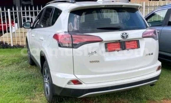 Buy Used Toyota RAV4 White Car in Beitbridge in Matabeleland South Buy Used Toyota RAV4 White Car in Beitbridge in Matabeleland South