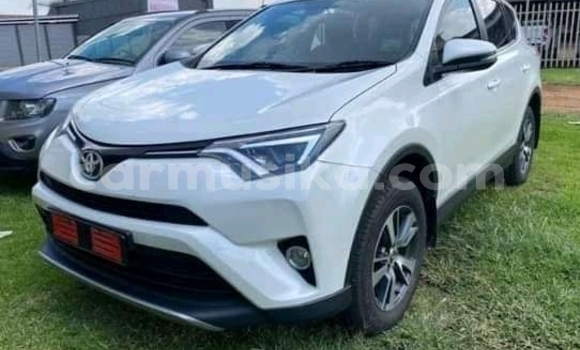 Buy Used Toyota RAV4 White Car in Beitbridge in Matabeleland South Buy Used Toyota RAV4 White Car in Beitbridge in Matabeleland South