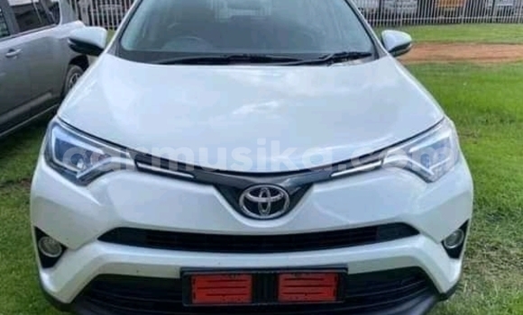 Buy Used Toyota RAV4 White Car in Beitbridge in Matabeleland South Buy Used Toyota RAV4 White Car in Beitbridge in Matabeleland South