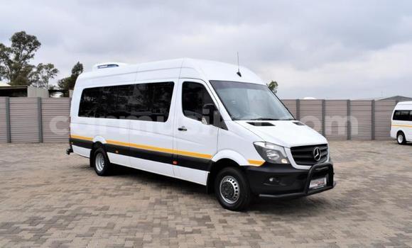 Buy Used Mercedes‒Benz Sprinter White Truck in Beitbridge in Matabeleland South