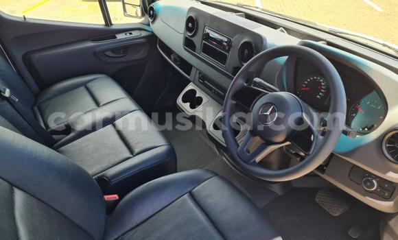 Acheter Occasion Utilitaire Mercedes‒Benz Sprinter Blanc à Beitbridge, Matabeleland South Acheter Occasion Utilitaire Mercedes‒Benz Sprinter Blanc à Beitbridge, Matabeleland South