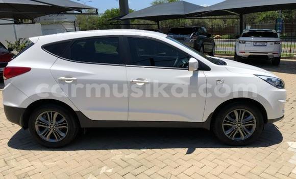 Acheter Occasion Voiture Hyundai ix35 Blanc à Beitbridge, Matabeleland South Acheter Occasion Voiture Hyundai ix35 Blanc à Beitbridge, Matabeleland South