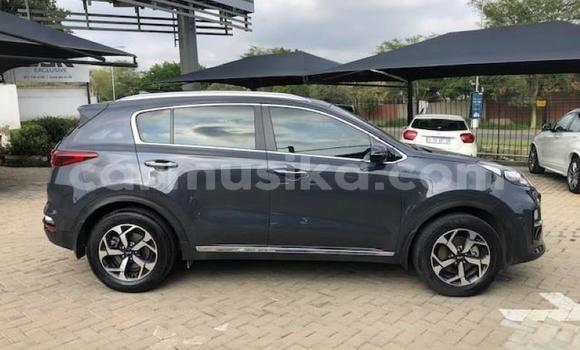 Acheter Occasion Voiture Kia Sportage Marron à Beitbridge, Matabeleland South