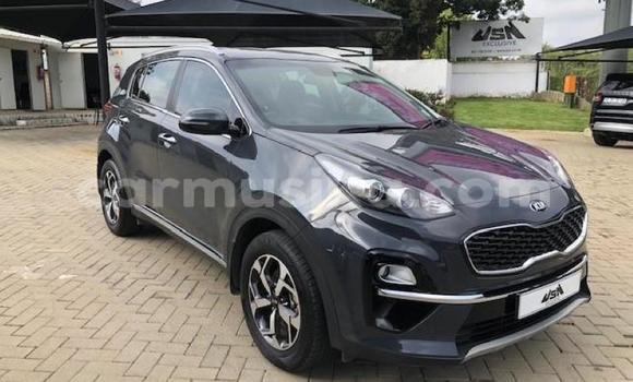 Nunua Ilio tumika Kia Sportage Brown Gari ndani ya Beitbridge nchini Matabeleland Kusini Nunua Ilio tumika Kia Sportage Brown Gari ndani ya Beitbridge nchini Matabeleland Kusini