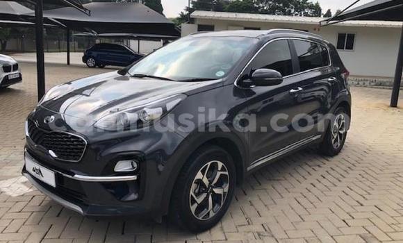 Nunua Ilio tumika Kia Sportage Brown Gari ndani ya Beitbridge nchini Matabeleland Kusini Nunua Ilio tumika Kia Sportage Brown Gari ndani ya Beitbridge nchini Matabeleland Kusini