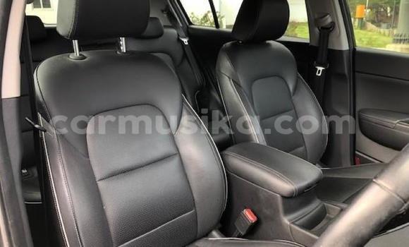 Nunua Ilio tumika Kia Sportage Brown Gari ndani ya Beitbridge nchini Matabeleland Kusini Nunua Ilio tumika Kia Sportage Brown Gari ndani ya Beitbridge nchini Matabeleland Kusini