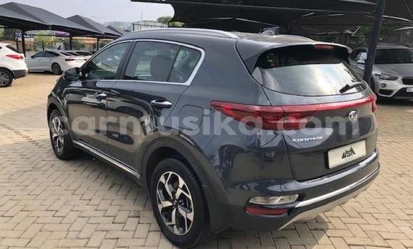 Nunua Ilio tumika Kia Sportage Brown Gari ndani ya Beitbridge nchini Matabeleland Kusini Nunua Ilio tumika Kia Sportage Brown Gari ndani ya Beitbridge nchini Matabeleland Kusini