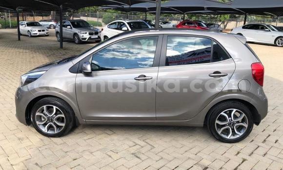 Acheter Occasion Voiture Kia Picanto Gris à Beitbridge, Matabeleland South