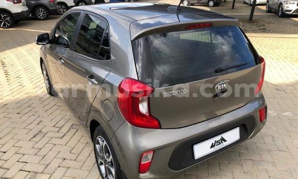 Acheter Occasion Voiture Kia Picanto Gris à Beitbridge, Matabeleland South Acheter Occasion Voiture Kia Picanto Gris à Beitbridge, Matabeleland South