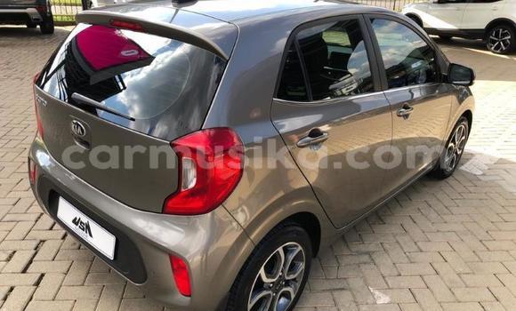 Acheter Occasion Voiture Kia Picanto Gris à Beitbridge, Matabeleland South Acheter Occasion Voiture Kia Picanto Gris à Beitbridge, Matabeleland South