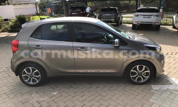 Acheter Occasion Voiture Kia Picanto Gris à Beitbridge, Matabeleland South Acheter Occasion Voiture Kia Picanto Gris à Beitbridge, Matabeleland South