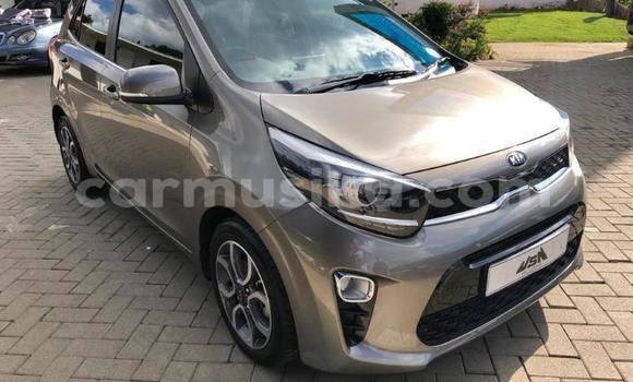 Acheter Occasion Voiture Kia Picanto Gris à Beitbridge, Matabeleland South Acheter Occasion Voiture Kia Picanto Gris à Beitbridge, Matabeleland South