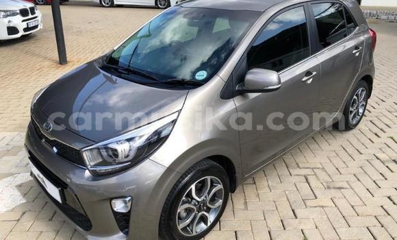Acheter Occasion Voiture Kia Picanto Gris à Beitbridge, Matabeleland South Acheter Occasion Voiture Kia Picanto Gris à Beitbridge, Matabeleland South