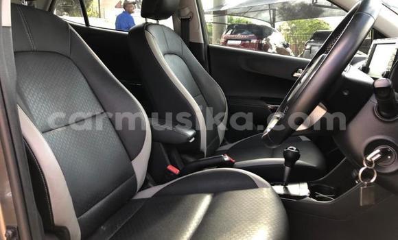 Acheter Occasion Voiture Kia Picanto Gris à Beitbridge, Matabeleland South Acheter Occasion Voiture Kia Picanto Gris à Beitbridge, Matabeleland South