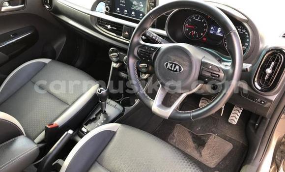 Acheter Occasion Voiture Kia Picanto Gris à Beitbridge, Matabeleland South Acheter Occasion Voiture Kia Picanto Gris à Beitbridge, Matabeleland South