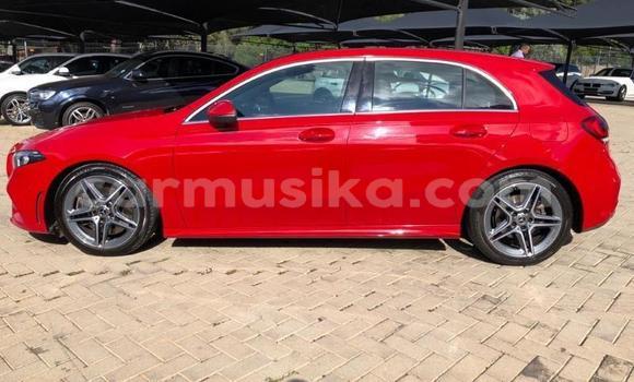 Buy Used Mercedes‒Benz C-klasse AMG Red Car in Beitbridge in Matabeleland South