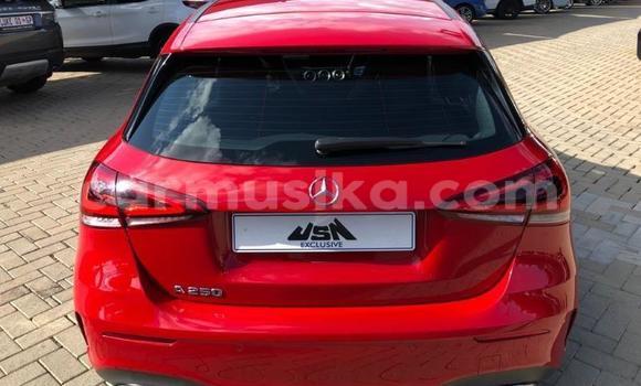 Tenga Tsaru Mercedes‒Benz C-klasse AMG Tsvuku Mota in Beitbridge in Matabeleland South Tenga Tsaru Mercedes‒Benz C-klasse AMG Tsvuku Mota in Beitbridge in Matabeleland South