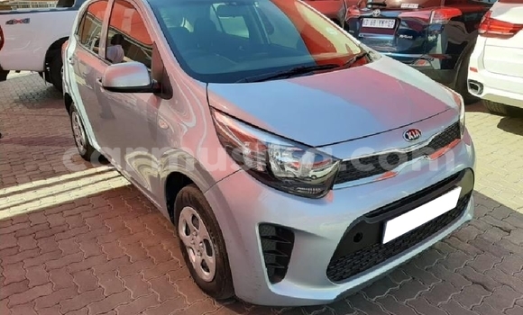 Acheter Occasion Voiture Kia Picanto Gris à Beitbridge, Matabeleland South
