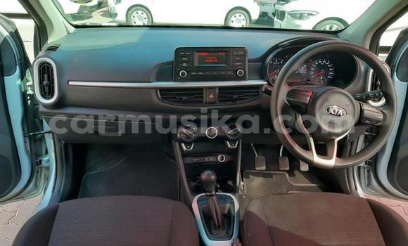 Acheter Occasion Voiture Kia Picanto Gris à Beitbridge, Matabeleland South Acheter Occasion Voiture Kia Picanto Gris à Beitbridge, Matabeleland South