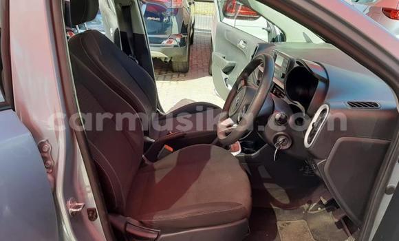 Acheter Occasion Voiture Kia Picanto Gris à Beitbridge, Matabeleland South Acheter Occasion Voiture Kia Picanto Gris à Beitbridge, Matabeleland South