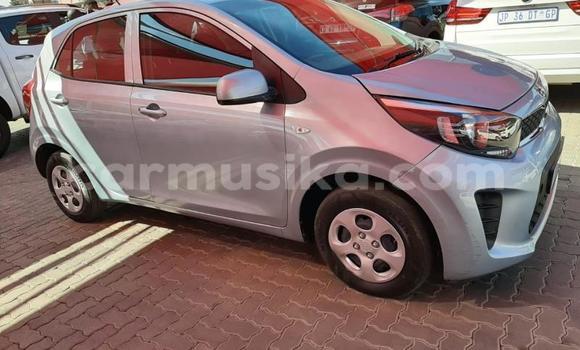 Acheter Occasion Voiture Kia Picanto Gris à Beitbridge, Matabeleland South Acheter Occasion Voiture Kia Picanto Gris à Beitbridge, Matabeleland South