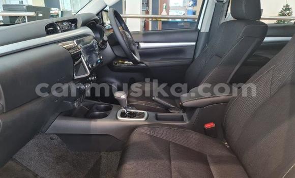 Tenga Tsaru Toyota Hilux Chena Mota in Beitbridge in Matabeleland South Tenga Tsaru Toyota Hilux Chena Mota in Beitbridge in Matabeleland South