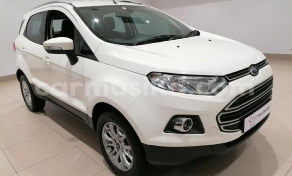 Tenga Tsaru Ford EcoSport Chena Mota in Beitbridge in Matabeleland South