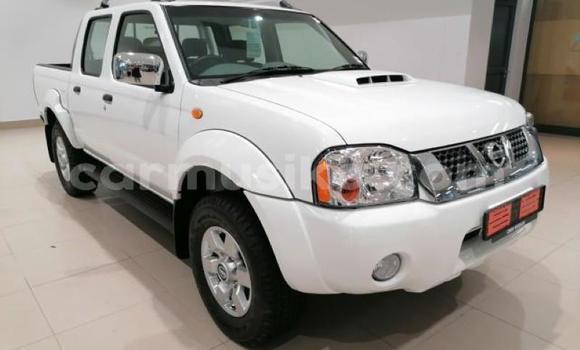 Buy Used Nissan Hardbody White Car in Beitbridge in Matabeleland South