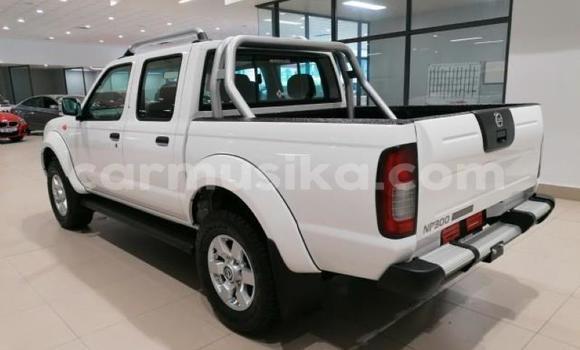 Nunua Ilio tumika Nissan Hardbody Nyeupe Gari ndani ya Beitbridge nchini Matabeleland Kusini Nunua Ilio tumika Nissan Hardbody Nyeupe Gari ndani ya Beitbridge nchini Matabeleland Kusini
