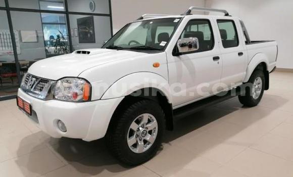 Nunua Ilio tumika Nissan Hardbody Nyeupe Gari ndani ya Beitbridge nchini Matabeleland Kusini Nunua Ilio tumika Nissan Hardbody Nyeupe Gari ndani ya Beitbridge nchini Matabeleland Kusini