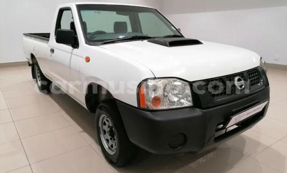 Nunua Ilio tumika Nissan Hardbody Nyeupe Gari ndani ya Beitbridge nchini Matabeleland Kusini