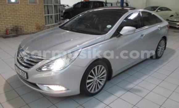Acheter Occasion Voiture Hyundai Sonata Gris à Beitbridge, Matabeleland South