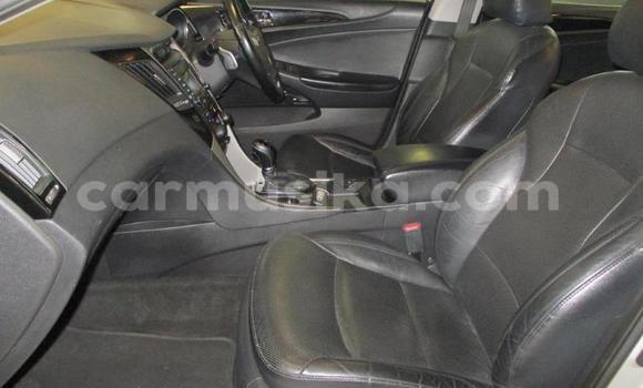 Buy Used Hyundai Sonata Silver Car in Beitbridge in Matabeleland South Buy Used Hyundai Sonata Silver Car in Beitbridge in Matabeleland South