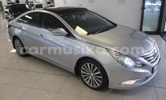 Buy Used Hyundai Sonata Silver Car in Beitbridge in Matabeleland South Buy Used Hyundai Sonata Silver Car in Beitbridge in Matabeleland South