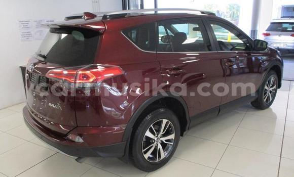 Buy Used Toyota RAV4 Other Car in Beitbridge in Matabeleland South Buy Used Toyota RAV4 Other Car in Beitbridge in Matabeleland South