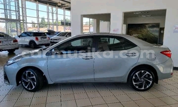 Buy Used Toyota Corolla Silver Car in Beitbridge in Matabeleland South Buy Used Toyota Corolla Silver Car in Beitbridge in Matabeleland South